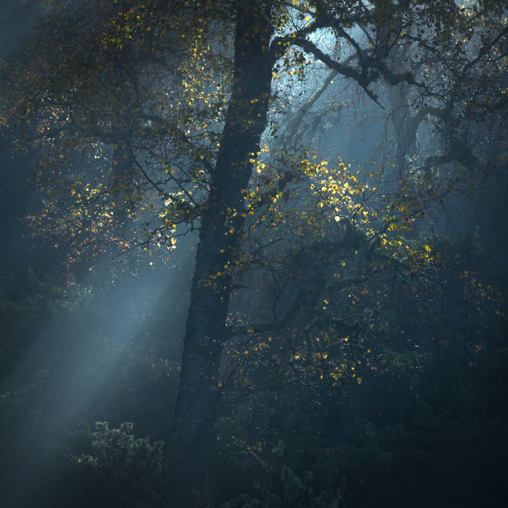 Alister Benn Interview