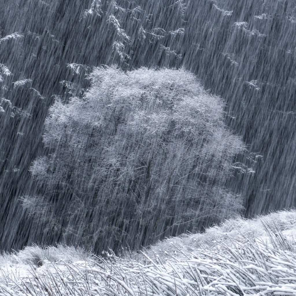 Alister Benn Interview