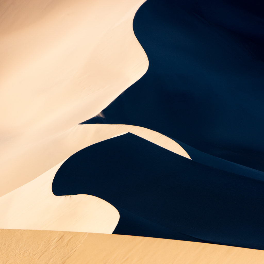 Photographer of the Year Alister Benn