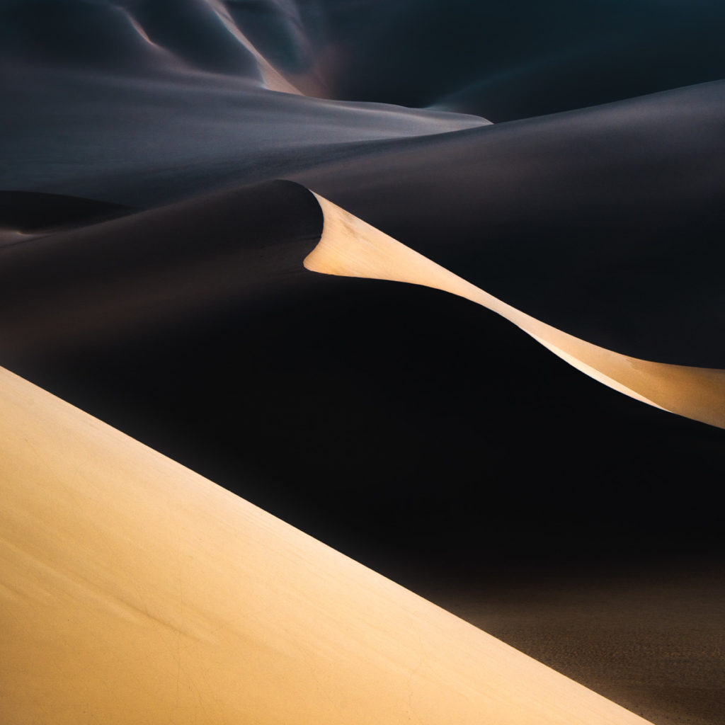 Photographer of the Year Alister Benn