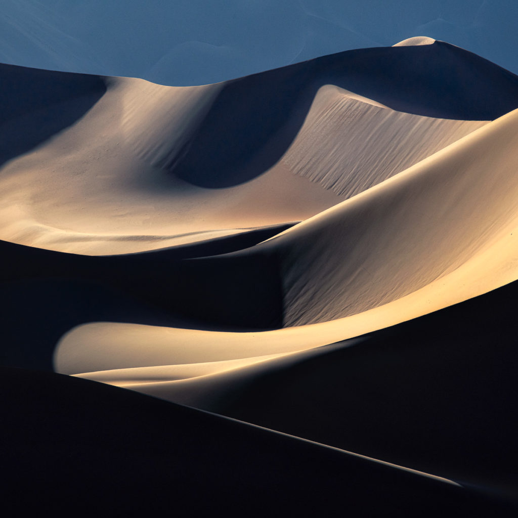 Photographer of the Year Alister Benn
