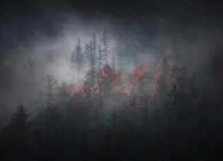 7 Tips for Staying Inspired During Lockdown staying inspired during lockdown