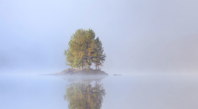 Photographer of the Month: Frank Otto Pedersen Frank Otto Pedersen Interview