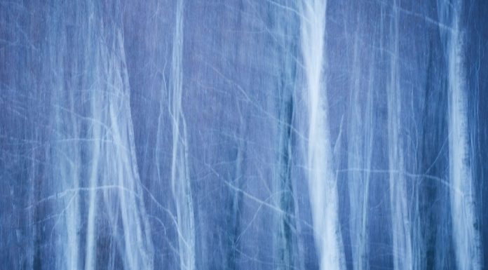 Photographer of the Month: Antonio Aleo Antonio Aleo Interview