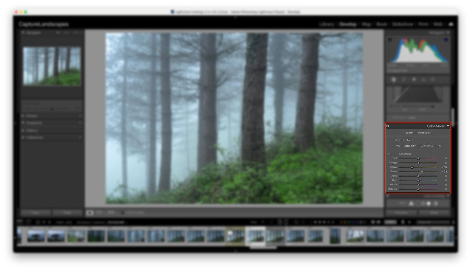 HSL Mode in Lightroom Color Mixer