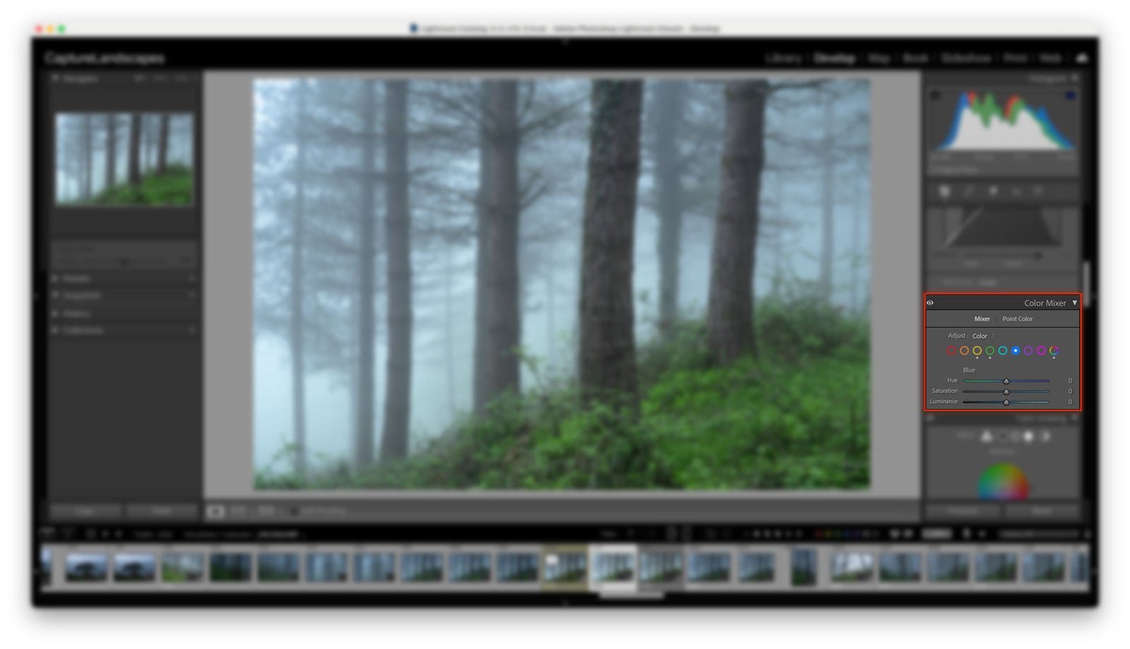 Color Mixer in Lightroom Classic