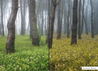 Understanding the HSL/Color Panel in Lightroom HSL/Color Tab in Lightroom - Hue