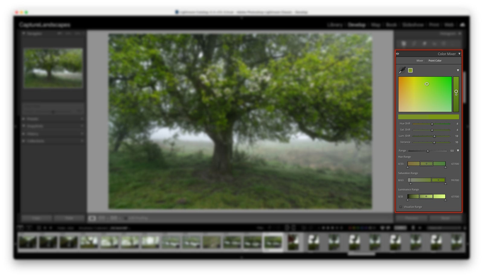 Point Color in Lightroom Color Mixer