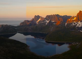 Saturation vs. Vibrance. What’s the Difference? Saturation and Vibrance