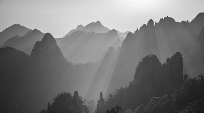 Photographer of the Month: René Algesheimer