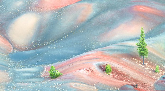 Photographer of the Year 2021: Tara Workman Tara Workman photograpy