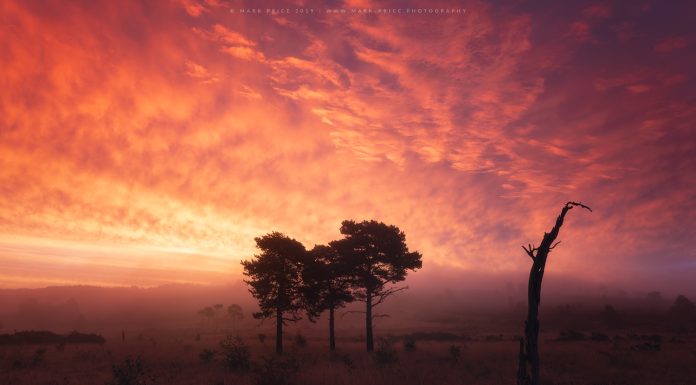 Top 25 Landscape Photographers in 2021 Top 25 Landscape Photographers of 2021