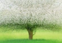 Top 25 Landscape Photographers in 2022 CaptureLandscapes Photographer of the Year Sandra Bartocha