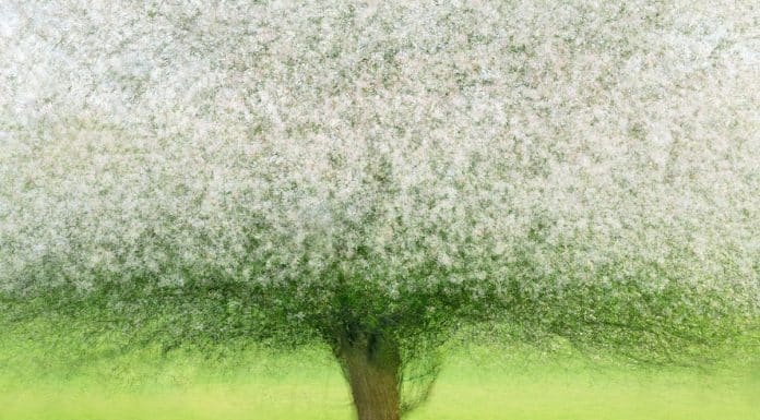 Top 25 Landscape Photographers in 2022 CaptureLandscapes Photographer of the Year Sandra Bartocha