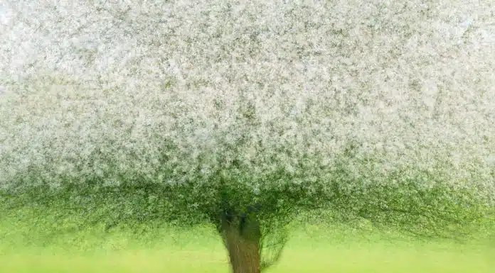 Top 25 Landscape Photographers in 2022 CaptureLandscapes Photographer of the Year Sandra Bartocha