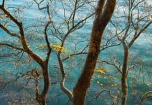 Photographer of the Year 2022: Sandra Bartocha CaptureLandscapes Photographer of the Year Sandra Bartocha