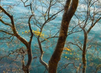 Photographer of the Year 2022: Sandra Bartocha CaptureLandscapes Photographer of the Year Sandra Bartocha