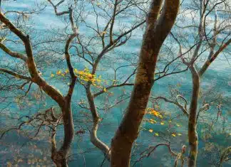 Photographer of the Year 2022: Sandra Bartocha CaptureLandscapes Photographer of the Year Sandra Bartocha