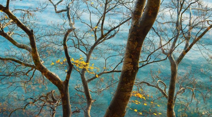 Photographer of the Year 2022: Sandra Bartocha CaptureLandscapes Photographer of the Year Sandra Bartocha