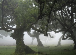 How to Make and Use Presets in Color Efex Pro