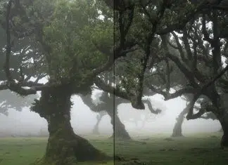 How to Make and Use Presets in Color Efex Pro