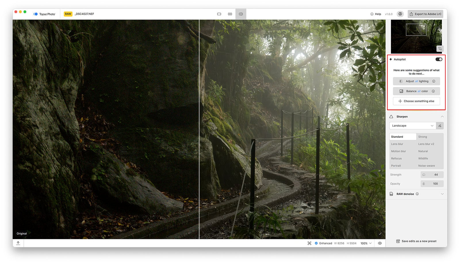 Topaz Photo Autopilot