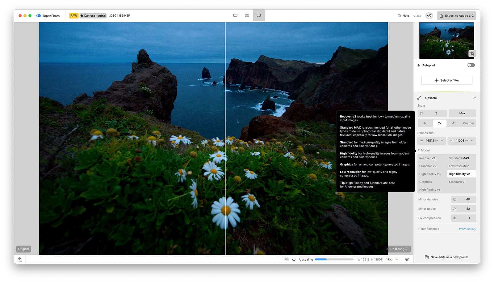 Upscaling in Topaz Photo