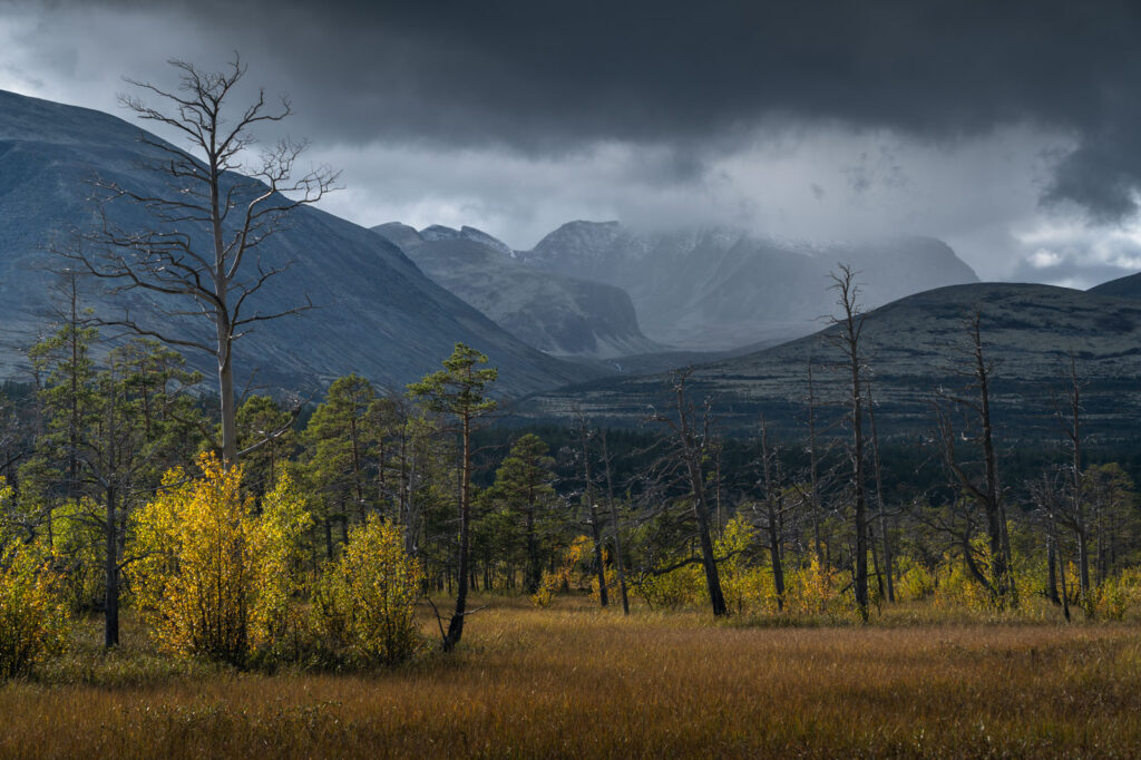 autumn-photography-tips-to-photographing-the-colors-of-autumn