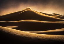 Photographer of the Month: Ian Plant Ian Plant Interview