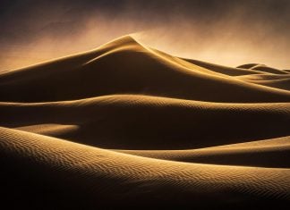 Photographer of the Month: Ian Plant Ian Plant Interview