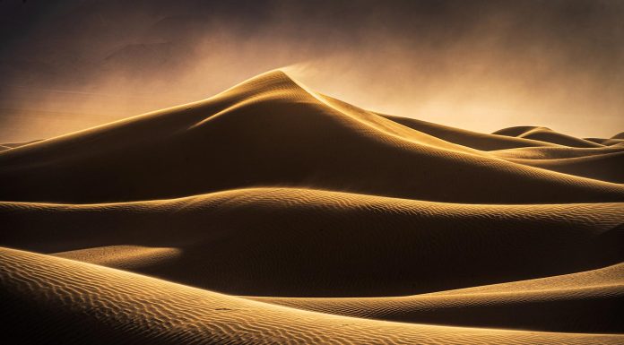 Photographer of the Month: Ian Plant Ian Plant Interview