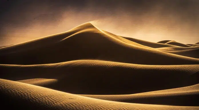 Photographer of the Month: Ian Plant Ian Plant Interview