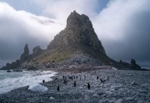 Photographer of the Year: Virgil Reglioni Interview with Virgil Reglioni