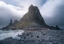 Photographer of the Year: Virgil Reglioni Interview with Virgil Reglioni