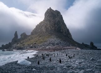 Photographer of the Year: Virgil Reglioni Interview with Virgil Reglioni