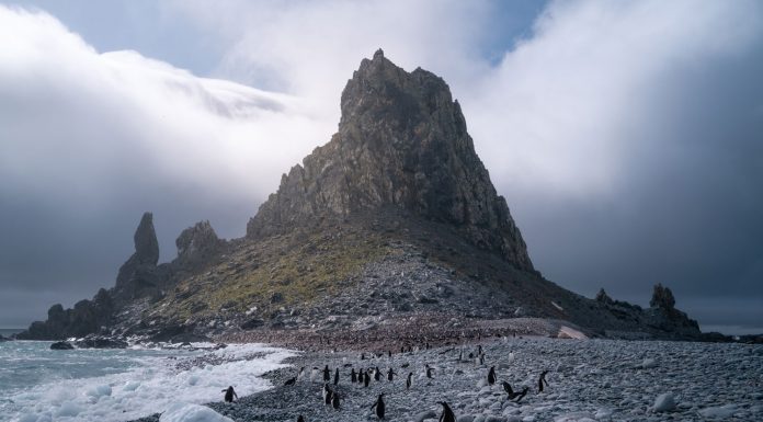 Photographer of the Year: Virgil Reglioni Interview with Virgil Reglioni