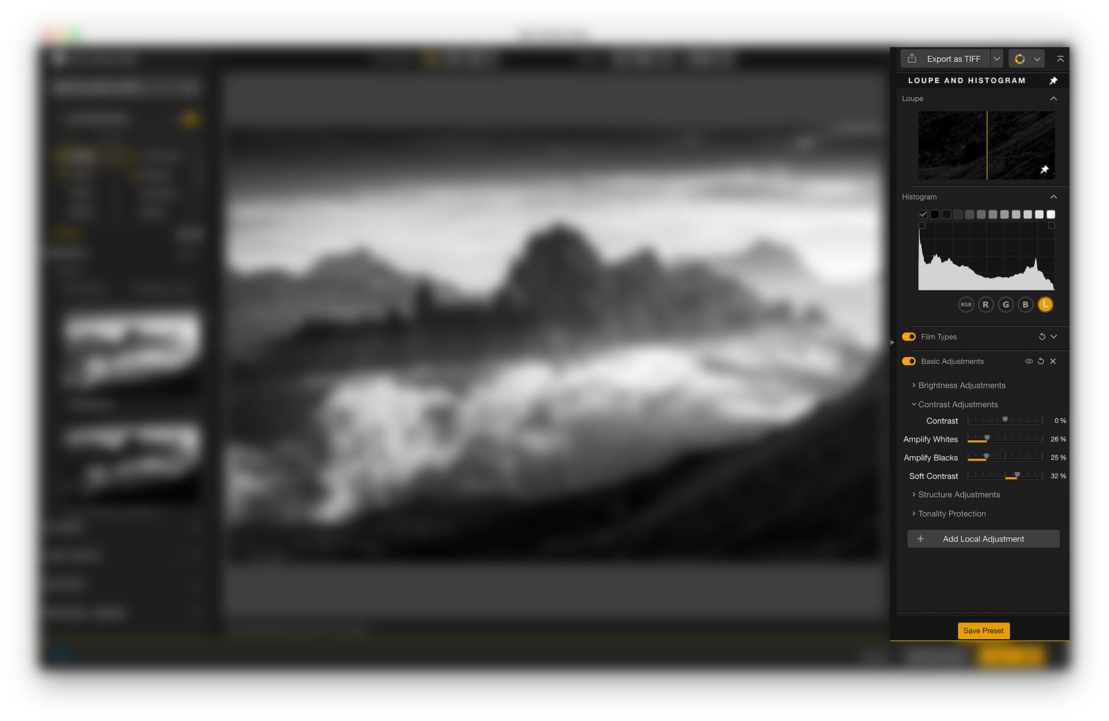Right side panel in Silver Efex 9