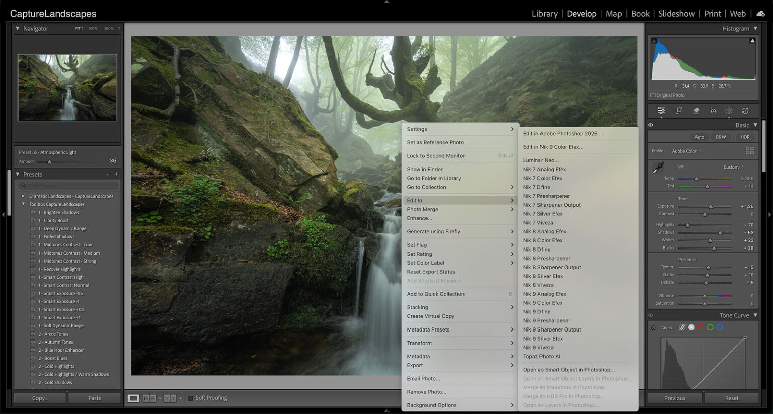 Nik Collection Lightroom Nik Collection 9 Review: Is DxO’s Photo Editing Suite Worth It? [2026 ...