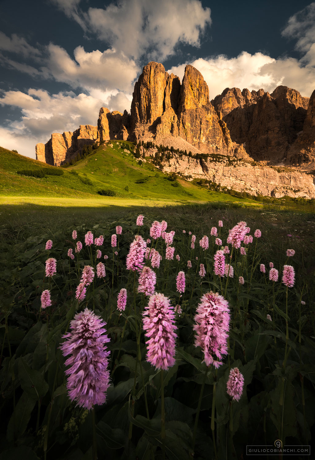 Dolomites Photo Tour