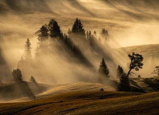 Composition in Landscape Photography: The Complete Guide