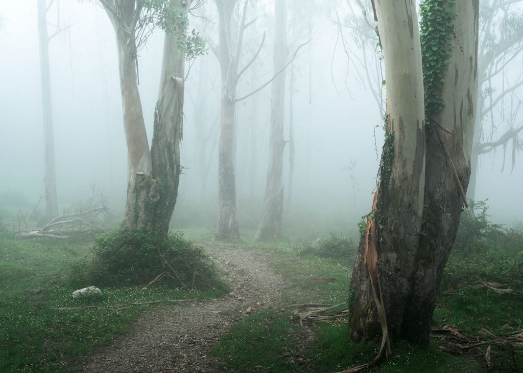 Using Depth in Landscape Photography