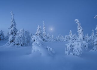 Landscape Photography in Extreme Cold: A Practical Guide for Sub-Zero Conditions