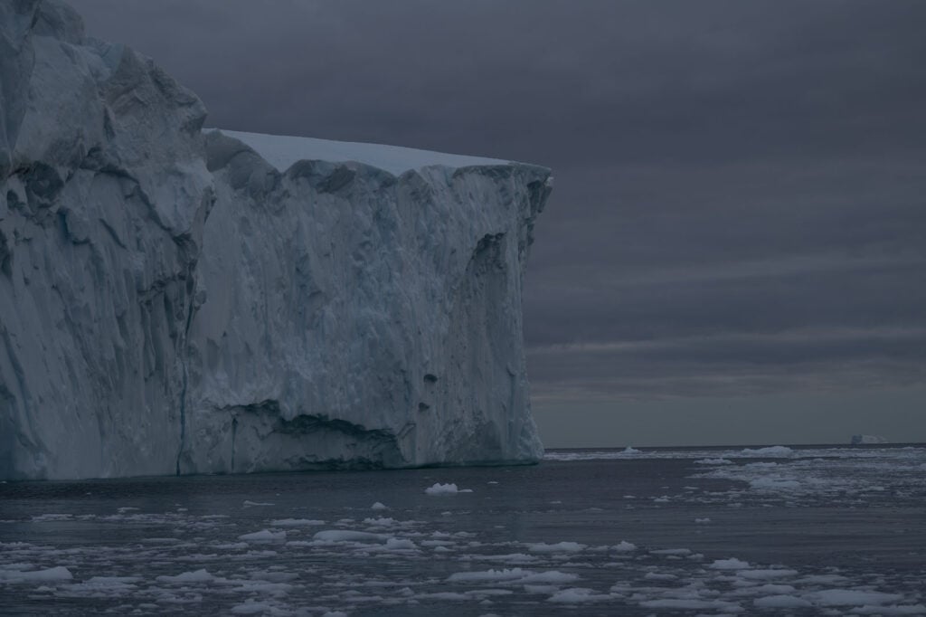 After using DxO PureRAW 6