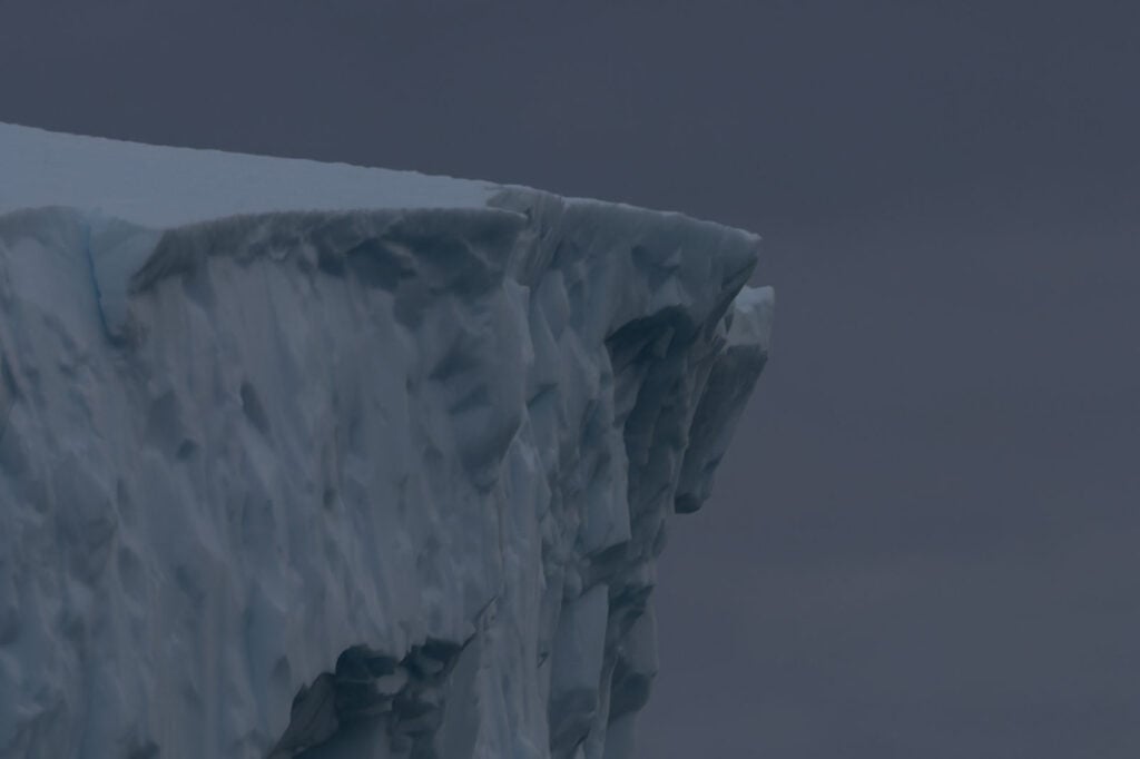 Zoomed in after using DxO PureRAW 6