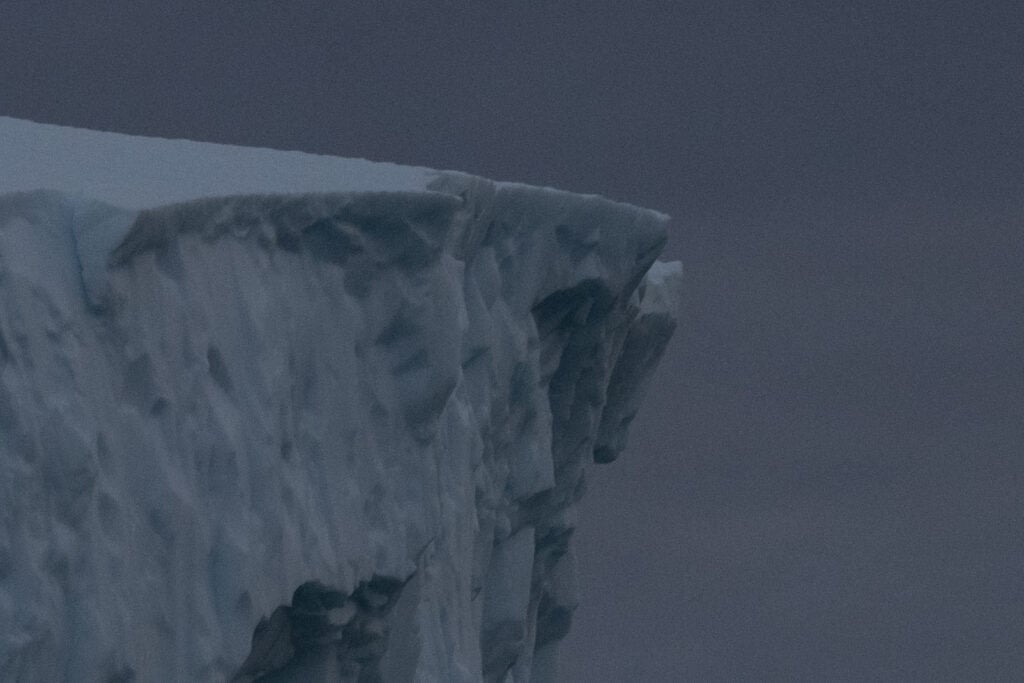 Zoomed in before using DxO PureRAW 6