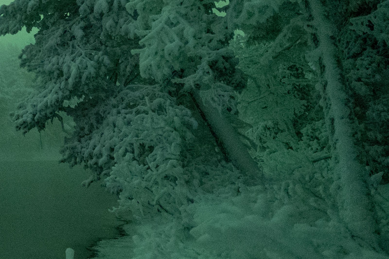 Shadow Recovery in Lightroom