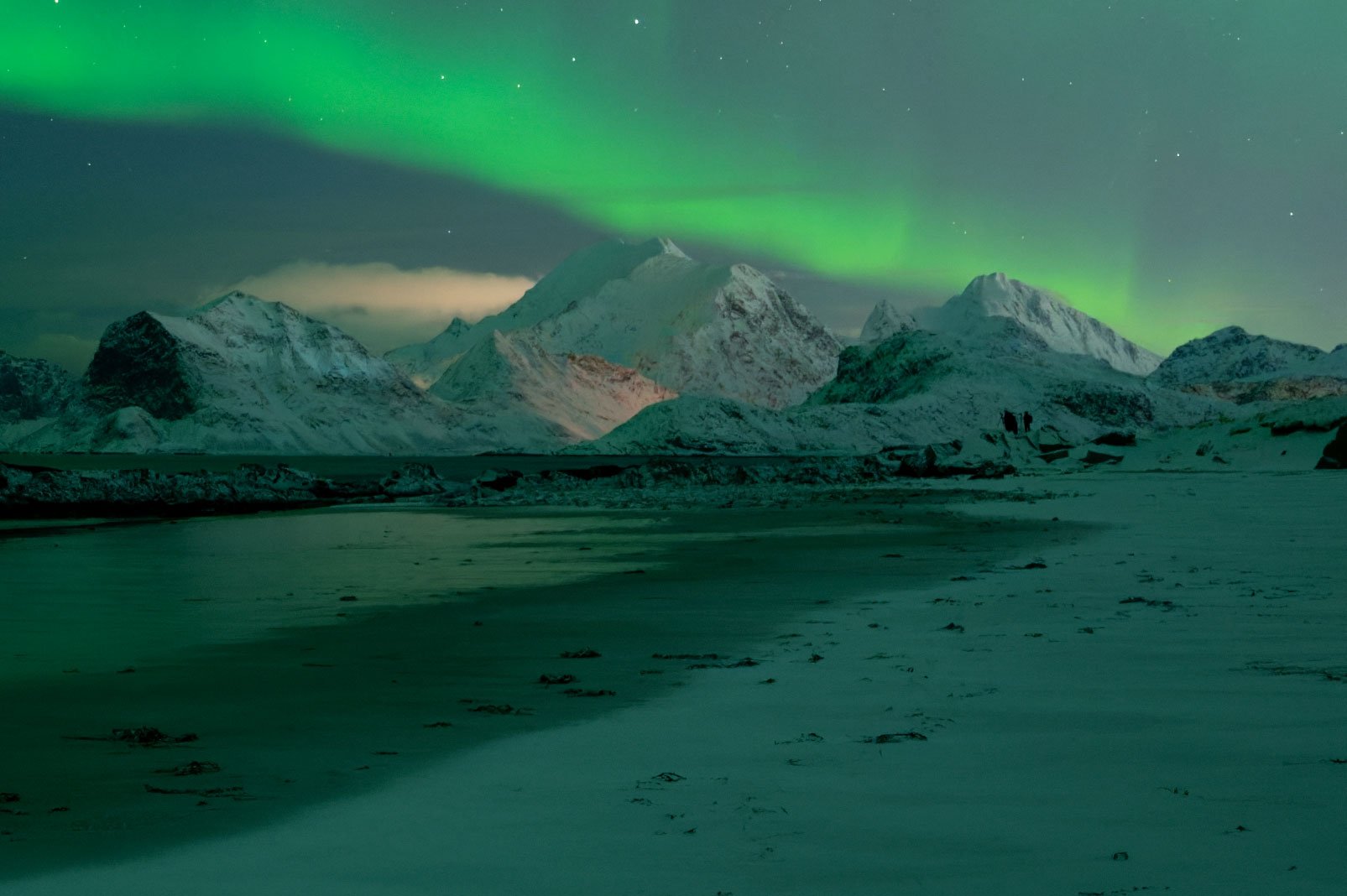 400% Crop to compare noise reduction in Lightroom and PureRAW - here PureRAW