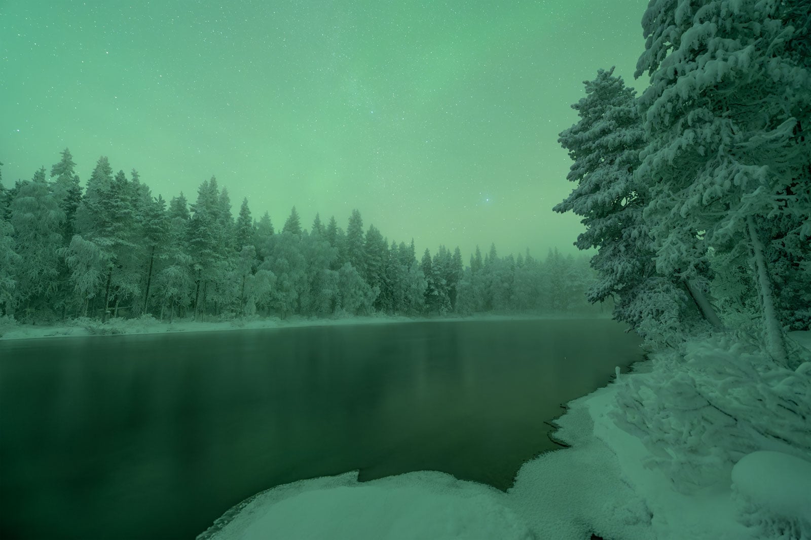 DxO PureRAW 6 RAW File Rendering