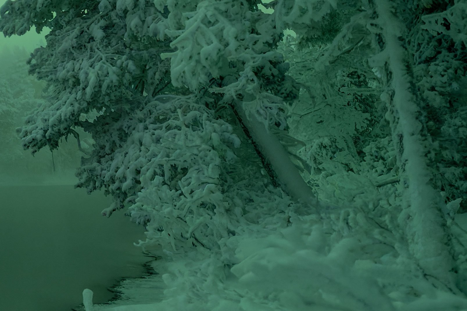 Shadow Recovery in Lightroom after Noise Reduction in DxO PureRAW 6