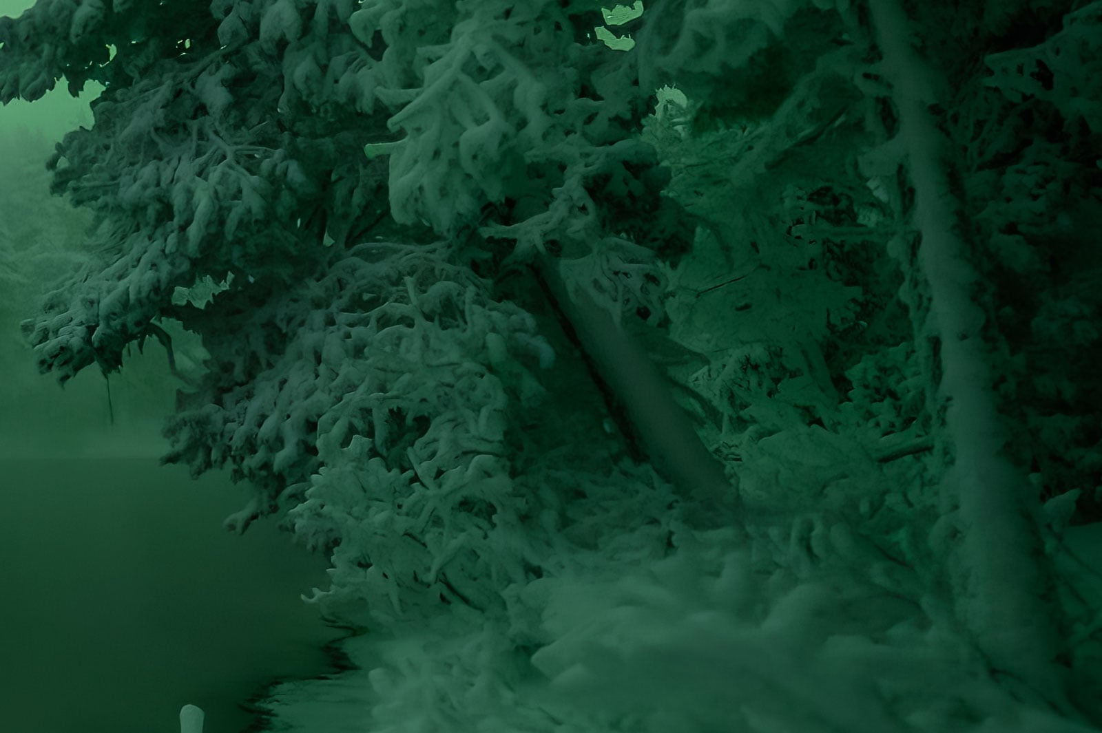 Denoise in Topaz Photo AI in comparison to DxO PureRAW 6